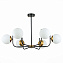 Светильник потолочный Evoluce CIANE SLE1098-402-06 360Вт E27