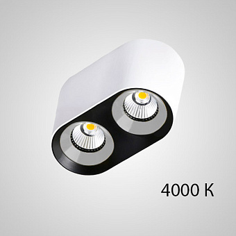 Спот ImperiumLOFT Rexton 212489-23 16Вт 2 лампы LED