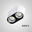 Спот ImperiumLOFT Rexton 212489-23 16Вт 2 лампы LED