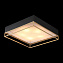 Светильник потолочный ST Luce CHODO SL1127.422.05 200Вт E27