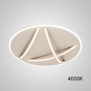 Светильник потолочный ImperiumLOFT Haftor 231226-23 47Вт LED
