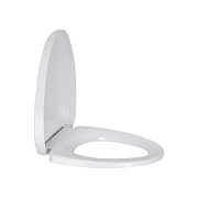 Сиденье для унитаза MELANA 2113S-806 с микролифтом
