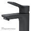 Смеситель для раковины AM-PM X-Joy F85A02122 чёрный