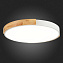 Светильник потолочный Evoluce DELIA SLE201352-01 40Вт LED
