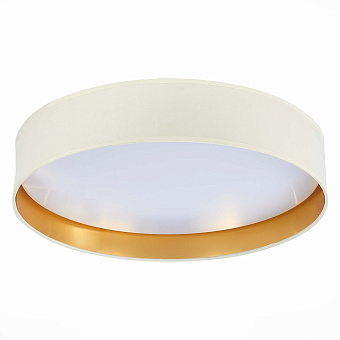 Торшер Evoluce BRESCIA SLE300552-01 50Вт LED