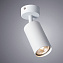 Светильник потолочный Arte Lamp AQUARIUS A3216PL-1WH 35Вт GU10