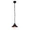 Светильник подвесной Arte Lamp GRAZIOSO A4577SP-1CK 60Вт E27