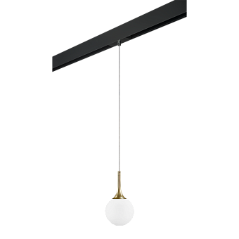 Трековый светильник Lightstar Globo PRO813013 40Вт E14 белый для однофазного трека