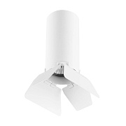 Светильник потолочный Lightstar Rullo R486436 50Вт GU10