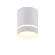 Светильник точечный накладной Elektrostandard Topper a037523 DLR021 9Вт LED