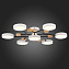 Светильник потолочный Evoluce FAEMA SLE6006-502-07 84Вт LED