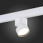 Магнитный трековый светильник ST Luce SKYLINE 48 ST809.536.09 9Вт LED белый