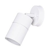 Светильник фасадный Arte Lamp MISTERO A3304AL-1WH 35Вт IP54 GU10 белый