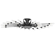Люстра потолочная Lightstar Ragno 732287 5Вт 28 лампочек G9
