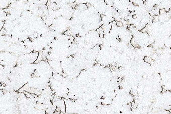 Настенная пробка CORKSTYLE WALL DESIGN Monte Snow MONTE SNOW 600х300х3мм 1,98кв.м