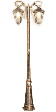 Светильник ландшафтный Elektrostandard Virgo a031930 GLXT-1450F/2 60Вт IP44 E27 чёрное золото