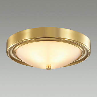 Светильник настенно-потолочный Lumion NINA 5259/2C 120Вт E27