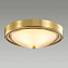 Светильник настенно-потолочный Lumion NINA 5259/2C 120Вт E27