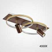 Светильник потолочный ImperiumLOFT Didrika 223841-23 52Вт LED