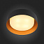 Светильник потолочный ST Luce CHIO SL392.422.04 160Вт E14