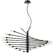 Люстра Lightstar Ragno 733247 960Вт 24 лампочек G9