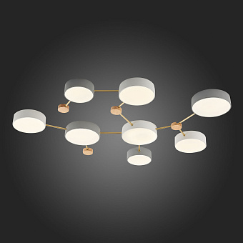 Светильник потолочный Evoluce DOSSENA SLE600102-08 132Вт LED