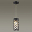 Светильник фасадный Odeon NATURE 4834/1 60Вт IP44 E27 чёрный