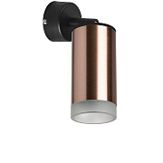 Светильник настенно-потолочный Lightstar Rullo RB430430 50Вт GU10