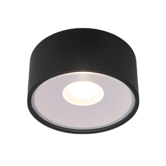 Светильник фасадный Elektrostandard Light a057470 35141/H 12Вт IP65 LED чёрный