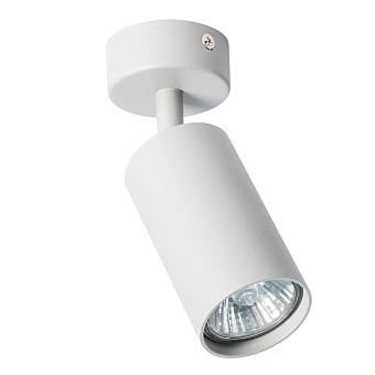 Светильник потолочный Arte Lamp AQUARIUS A3216PL-1GY 35Вт GU10