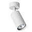 Светильник потолочный Arte Lamp AQUARIUS A3216PL-1GY 35Вт GU10