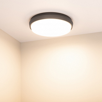 Светильник фасадный Arlight LGD-Giro 029949 25Вт IP54 LED чёрный