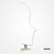 Торшер ImperiumLOFT Dafne 228285-23 45Вт LED