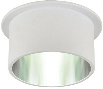 Светильник потолочный Favourite Rasta 3062-1C 10Вт GU10 LED