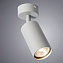 Светильник потолочный Arte Lamp AQUARIUS A3216PL-1GY 35Вт GU10
