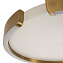 Светильник потолочный Loft It Ring 10026 30Вт LED