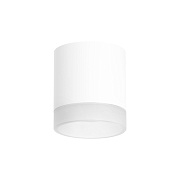 Светильник настенно-потолочный Lightstar Rullo R348680 15Вт GX 5.3