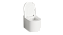 Унитаз подвесной SALINI GEMELLI 240121MRF безободковый с микролифтом