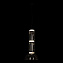 Светильник подвесной Loft It Noctambule 10192/M 12Вт LED