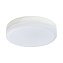 Светодиодная лампа Lightstar 943084 GX 5.3 8Вт 4000К