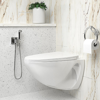 Смеситель для душа Paini Kampana 53CR442QRU_ABS хром