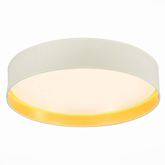 Торшер Evoluce BRESCIA SLE300552-01 50Вт LED