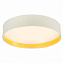 Торшер Evoluce BRESCIA SLE300552-01 50Вт LED