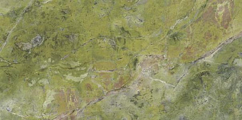 Полированный керамогранит ARIOSTEA Marmi Classici PL612635 Brilliant Green Luc 60х120см 1,44кв.м.