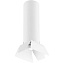 Светильник потолочный Lightstar Rullo R496436 50Вт GU10
