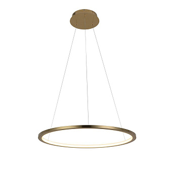 Светильник подвесной Loft It Ring 10014M 24Вт LED