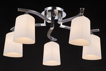 Светильник потолочный Freya Sol FR5454CL-05CH 40Вт E14