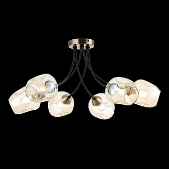 Светильник потолочный Evoluce BESANO SLE205302-06 240Вт E14