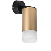 Светильник настенно-потолочный Lightstar Rullo RB44031 50Вт GU10