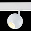 Магнитный трековый светильник ST Luce BOLE ST354.536.12 12Вт LED белый